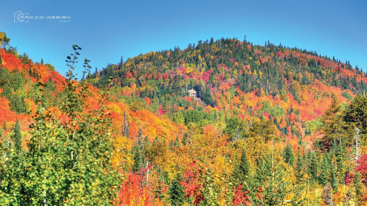 Le Ti Moose Villa La Malbaie Exterior foto